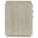 Loomis 3-drawer Home Office File Cabinet Whitewashed Grey