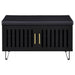 Brixton 2-door Padded Entryway Shoe Storage Bench Black