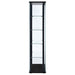 Delphinium 4-Shelf Clear Glass Curio Display Cabinet Black