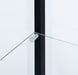 Delphinium 4-Shelf Clear Glass Curio Display Cabinet Black