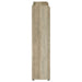 Denia 3-tier Engineered Wood Shoe Cabinet White