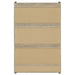 Denia 3-tier Engineered Wood Shoe Cabinet White