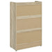 Denia 3-tier Engineered Wood Shoe Cabinet Grey