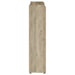 Denia 3-tier Engineered Wood Shoe Cabinet Grey