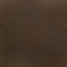 Randolph Dining Side Chair Butterscotch and Brown (Set of 2)