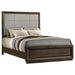 Atlas 64-inch Queen Upholstered Panel Bed Grey and Dark Oak