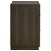 Atlas 2-drawer Bedroom Nightstand Bedside Table Dark Oak