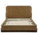 Baldacci Upholstered Eastern King Platform Bed Curry and Walnut