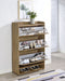 Denia 3-tier Engineered Wood Shoe Cabinet Mango