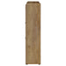 Denia 3-tier Engineered Wood Shoe Cabinet Mango