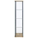 Bellatrix 3-shelf Clear Glass Curio Cabinet Mango