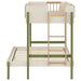 T/F BUNK BED