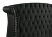 Barzini Upholstered Queen Wingback Bed Black