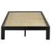 Gislen Twin Easy Assembly Wood Platform Bed Black