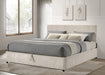 Reeves Upholstered Eastern King Lift-Top Storage Platform Bed Beige