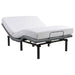 Tasca Full Dual-Motor Adjustable Bed Base in Black